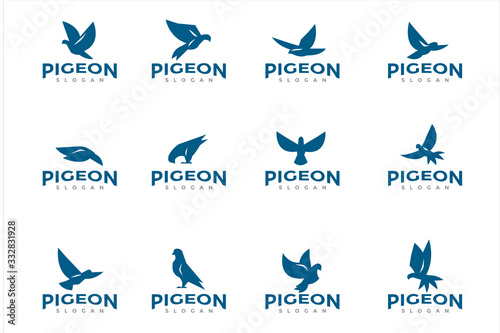 Foto pigeon bird logo icon pack