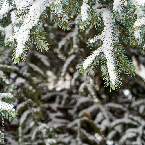Image of ate under the snow.