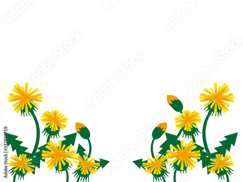 タンポポの花イメージ