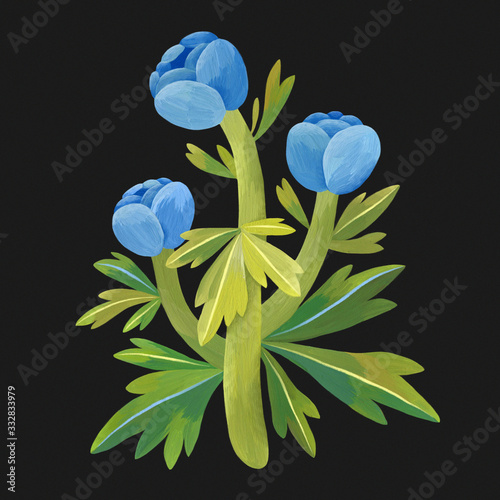 Blue flowers on black background, botanical illustration, gouache flowers