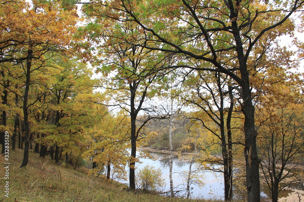 A small autumn pond with steep banks is surrounded by oaks with yellowing leaves. A small autumn pond with steep banks is surrounded by oaks with yellowing leaves.