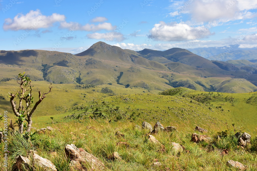 Nature in Hlane royal national park in Swaziland,Kingdom od Eswatini