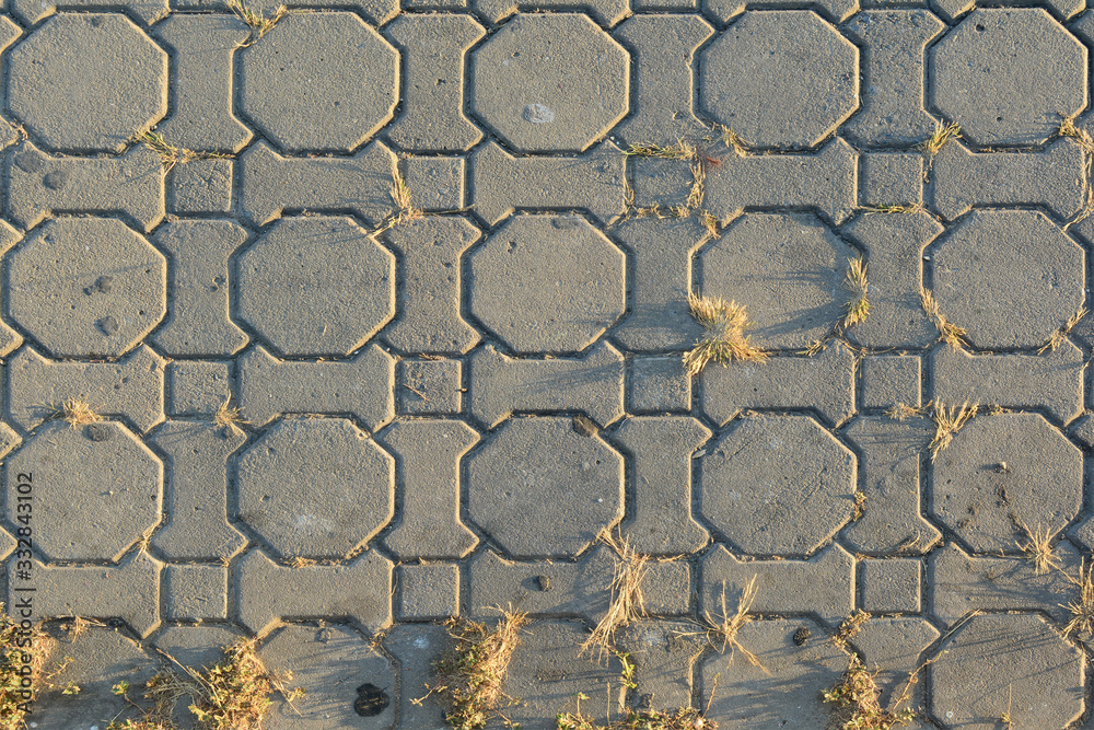 background from grey cement bricks with small dry grasses and sunlight at evening background from grey cement bricks with small dry grasses and sunlight at evening
