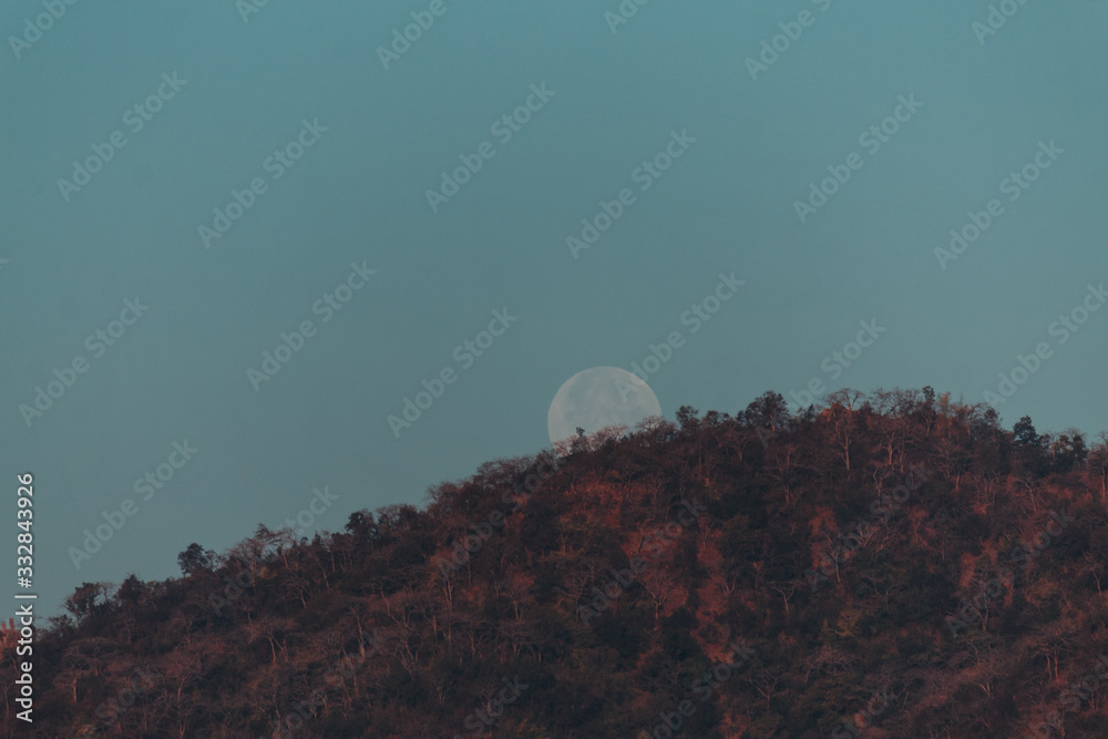 Moon rising above the hills at Polo Forest in Gujarat, India