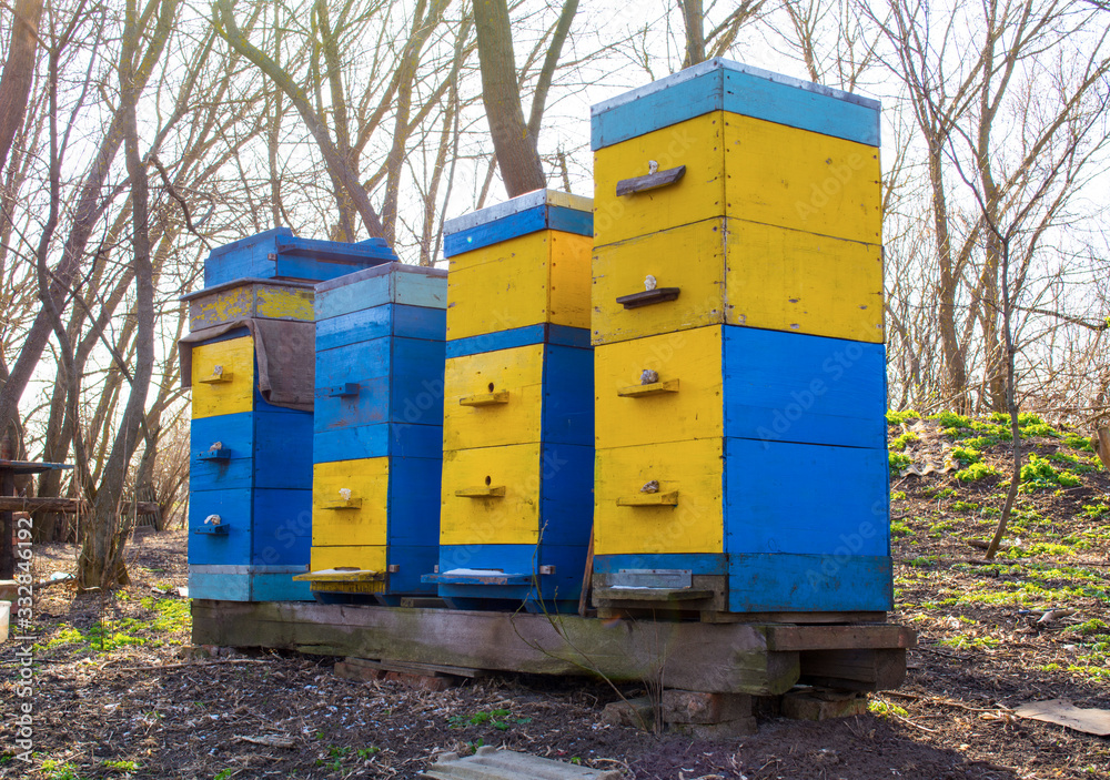 honey apiary, bee hive in the garden in early spring honey apiary, bee hive in the garden in early spring