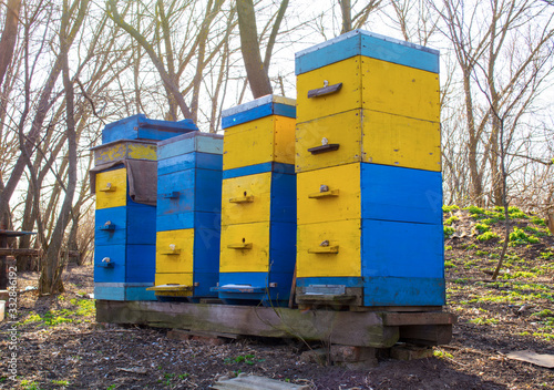 honey apiary, bee hive in the garden in early spring © Владислав Глебов