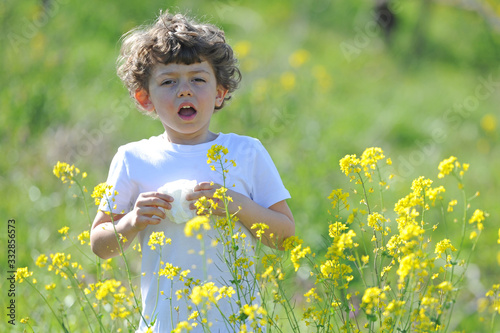 Little European caucasian  children  has allergies from flower pollen, boy has running nose in flower field and wipe his nose by tissue paper - asthma photo