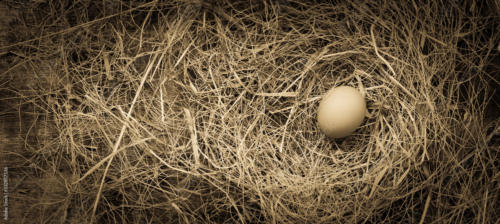 Chicken egg in a straw nest for Easter, rustic style, table, top view, toned antique, copy space left