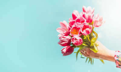 Close up of fresh beautiful tulips bunch in female hand in sunlight at light turquoise background. Mothers day greeting. Copy space
