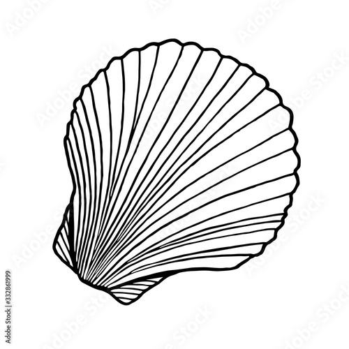 Black and white seashell. Hand drawn outline contour vector illustration of underwater scallop shell. Nautical element isolated on white background for cards, logo, decoration, coloring books, print
