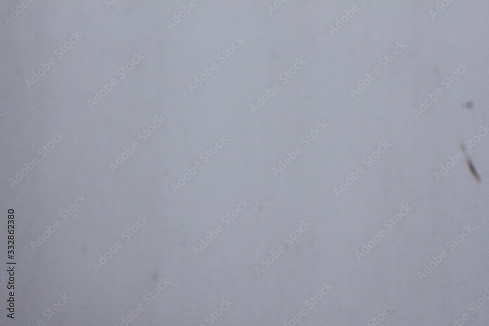 white wall with paint, scuffs and old white white wall with paint, scuffs and old white