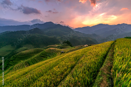 Rice terraces at the sunset in Mu cang chai in the north of Vietnam.
