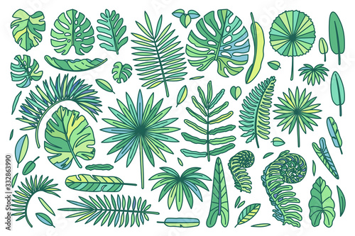 vector big exotic leaves set. cute drawn plant art