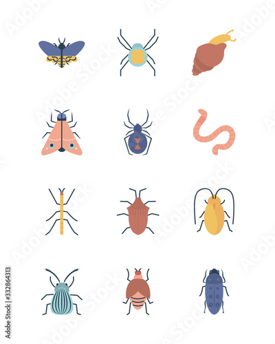 worm and insect icon set, flat style © Jeronimo Ramos