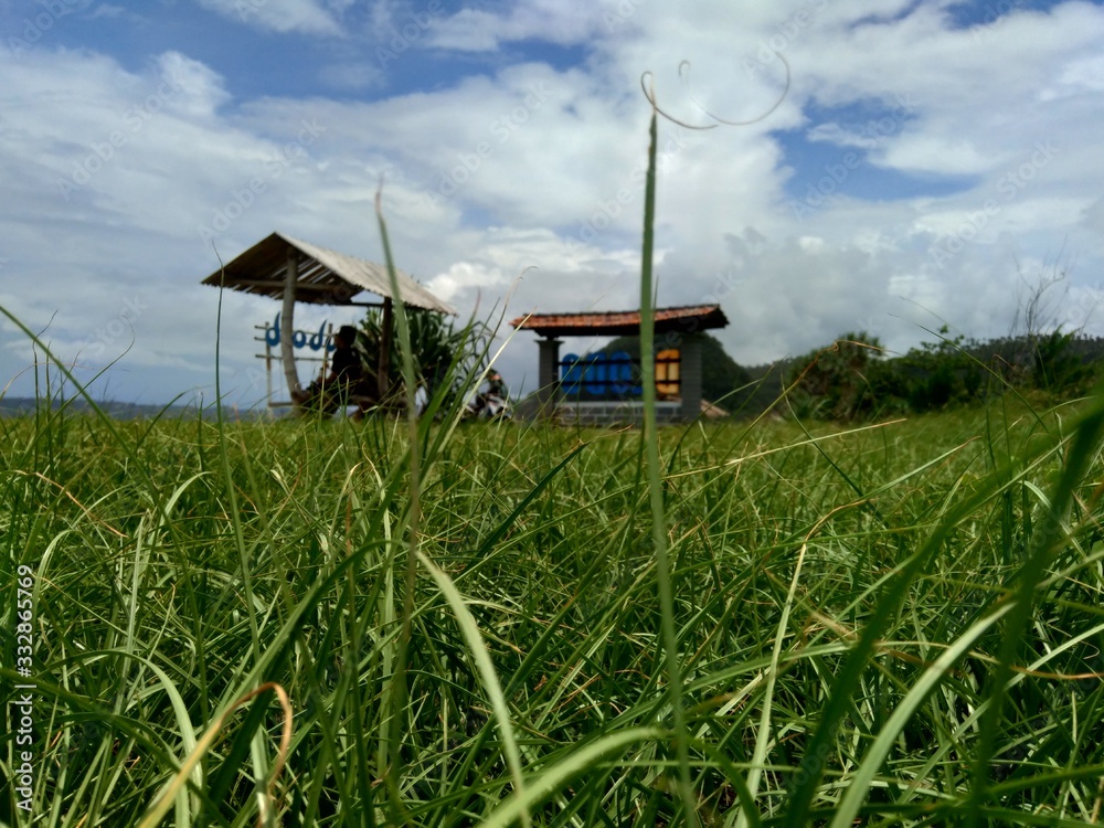Green grass field and blue sky background Green grass field and blue sky background