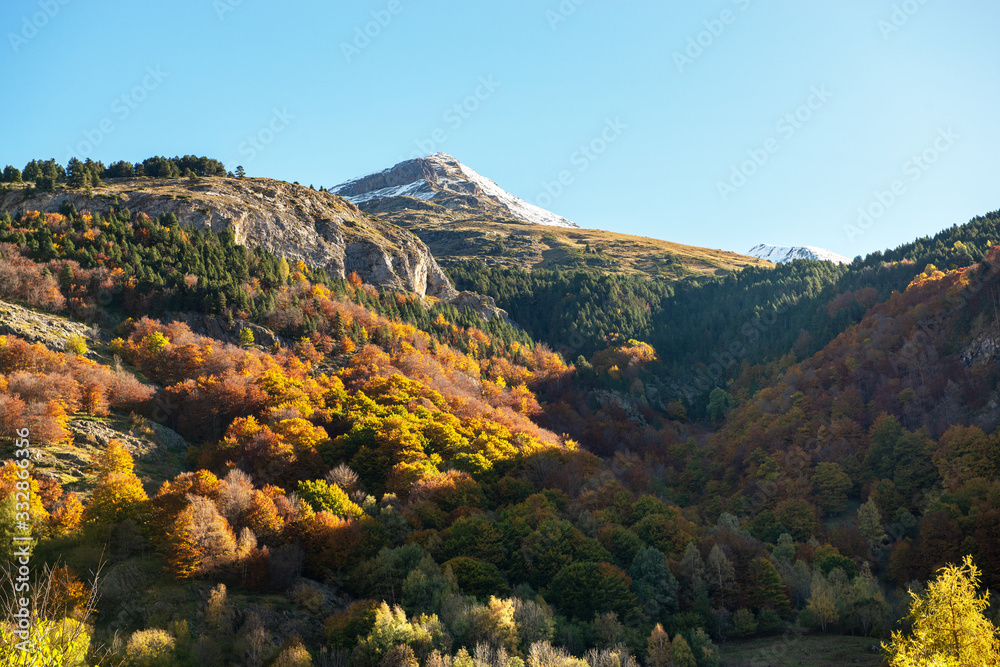 color of autumn at mountain (french Pyrenees)