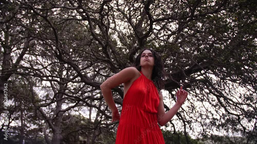 Impressive Use Of Arm And Head Movements In A Dance By The Lady In Red Dress. -close up shot Impressive Use Of Arm And Head Movements In A Dance By The Lady In Red Dress. -close up shot