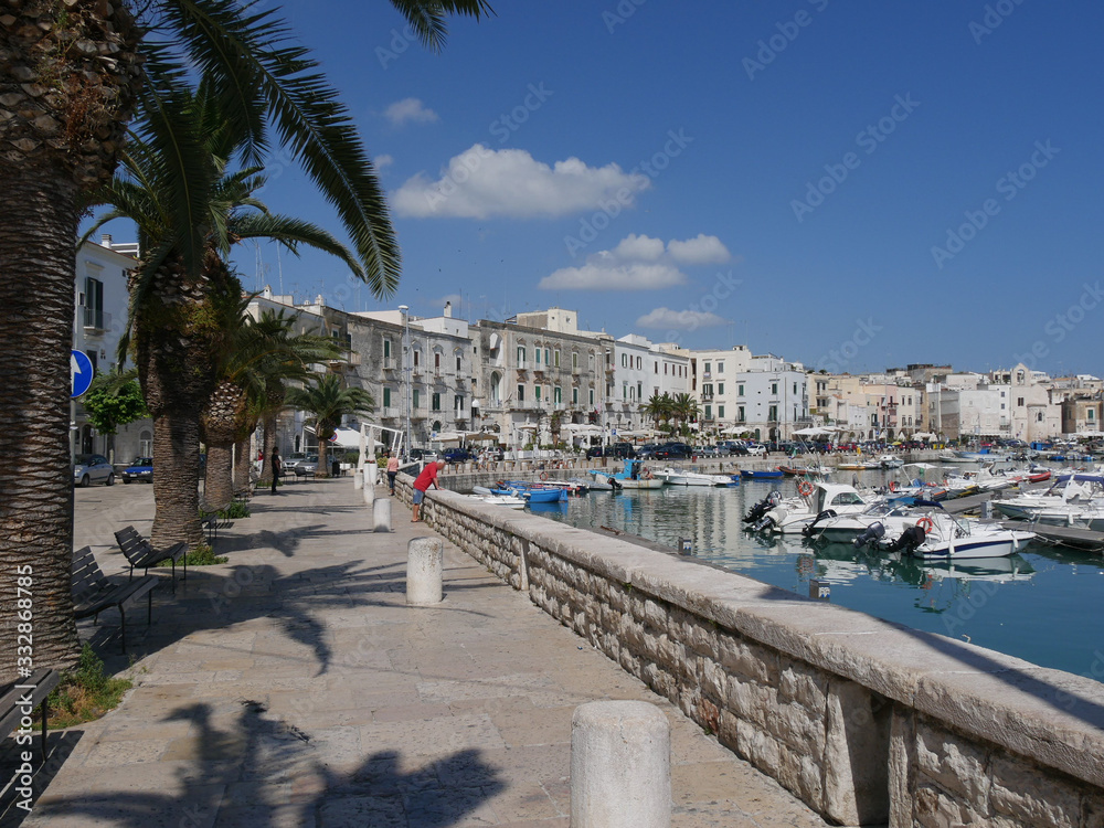 Trani – walk with palms in the promenade along the port and the historic buildings built by the white local stone