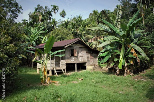 May 11, 2018 Perak, Malaysia: Traditional wooden house on stilts in Malaysian village, Perak province surrounded by jungle and banana trees 