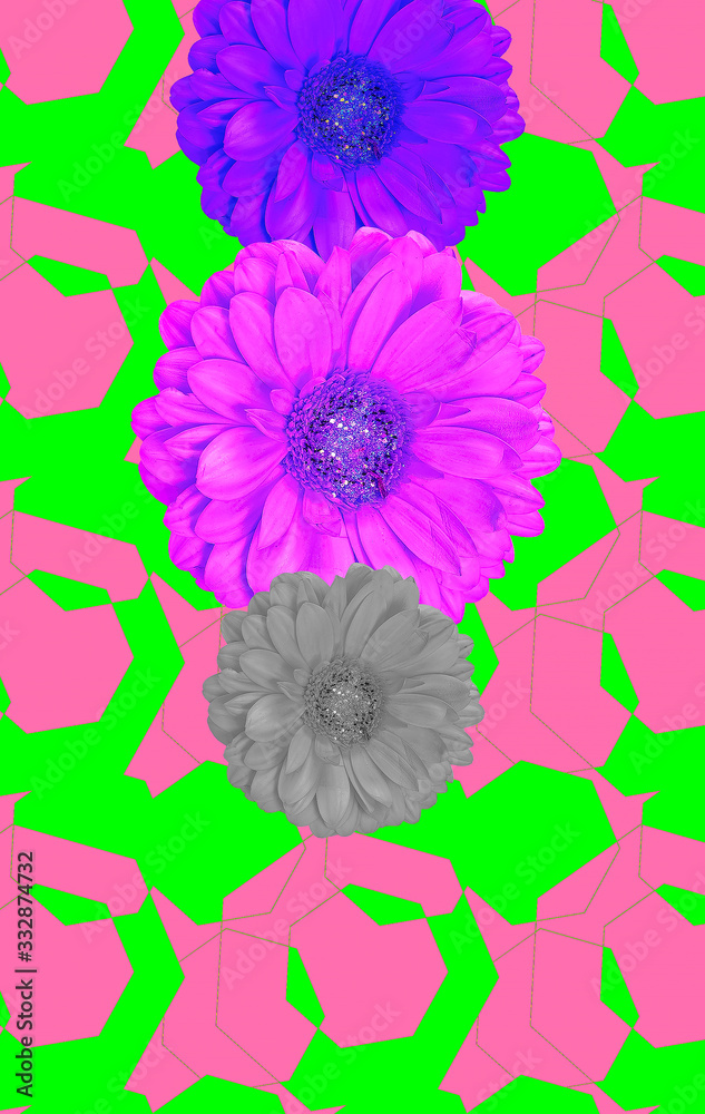 Flowers design wallpaper. Minimal geometry and flowers creative collage art