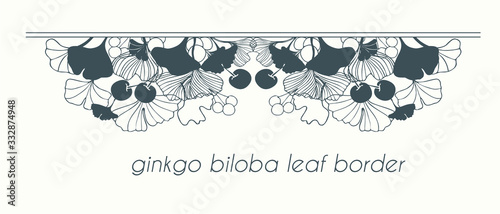 Hand drawn japanese leaves of ginkgo biloba tree. isolated vector. Concept for medical or cosmetic packaging, emblem border with berries and leaves for leaflets.