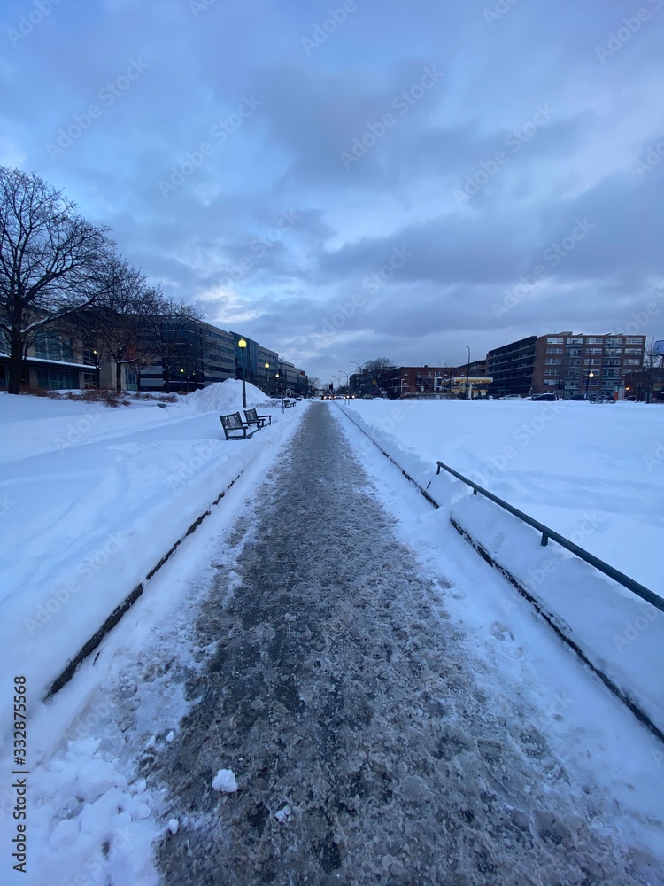 Obraz premium road in winter