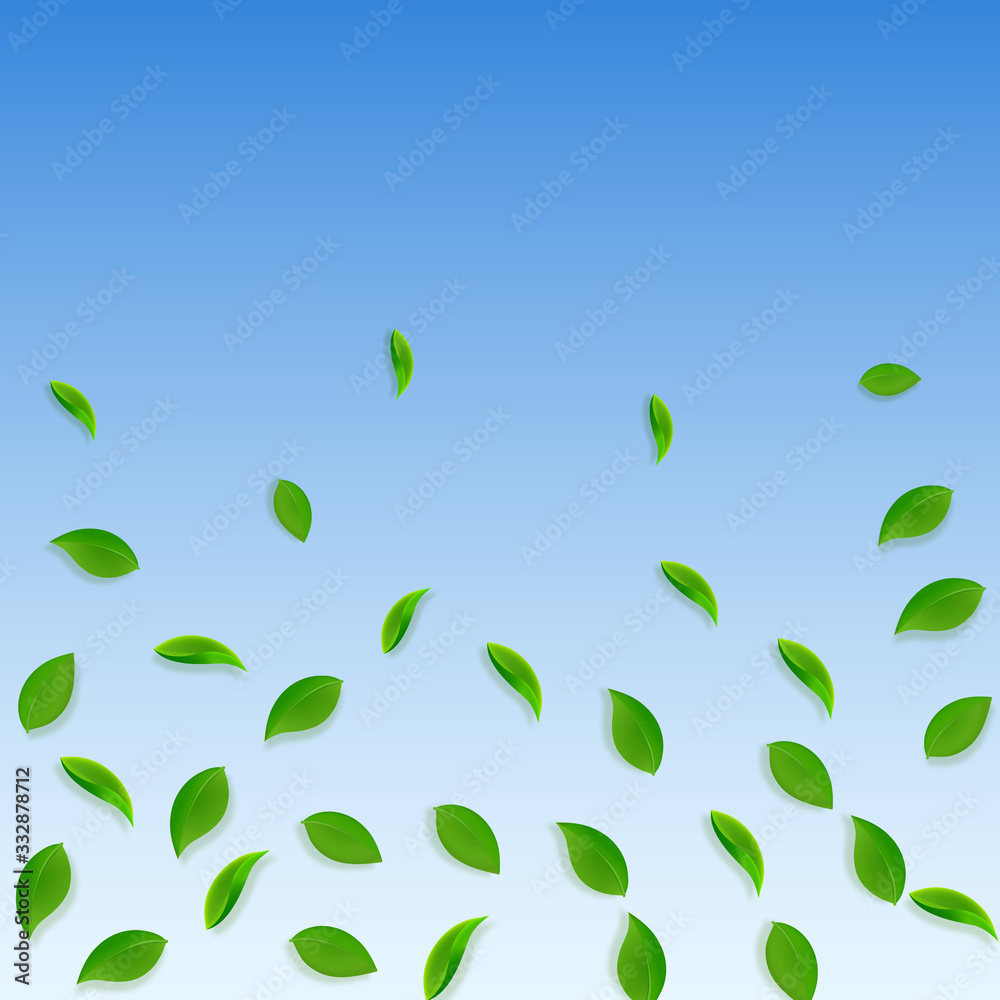 Falling green leaves. Fresh tea random leaves flyi Falling green leaves. Fresh tea random leaves flyi