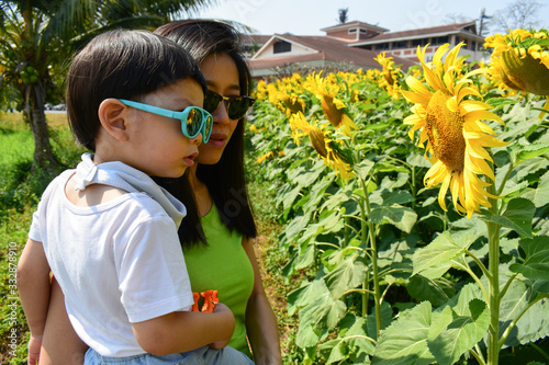 happy mother and cute boy in sunflower field, outdoor activity of family in the morning day