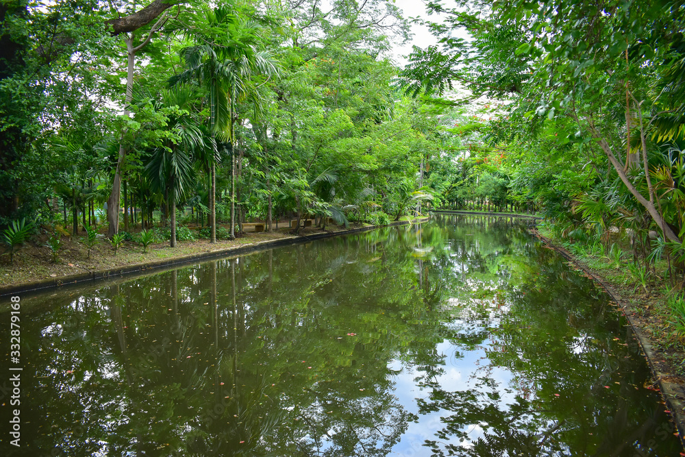 landscape of public park in the morning with view of water small pond landscape of public park in the morning with view of water small pond