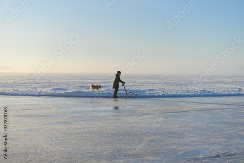 balade d'une grand mère et son chien sur la mer gelée  et enneigée du nord arctique dans la ville de  Luleå en Suède