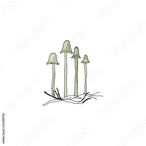 Thin poisonous pale toadstools in forest branches. Mushrooms are drawn by hand in black outline. Amanita. Vector natural elements isolated on white background.