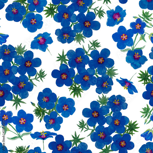 Watercolor hand drawing of garden pimpernel flower blossom on white, blue petals flowering plant illustration seamless pattern, isolated clipping path, for wallpaper or fabric textiles printing photo