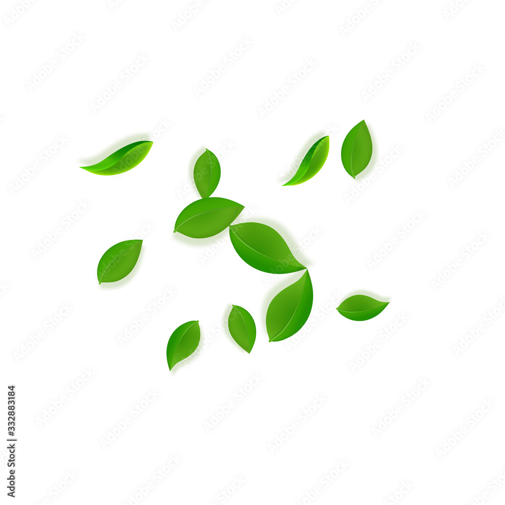 Naklejka premium Falling green leaves. Fresh tea neat leaves flying