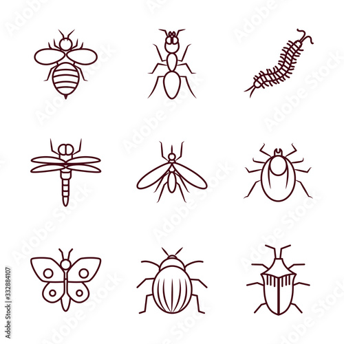 bee and insect concept icon set, line style