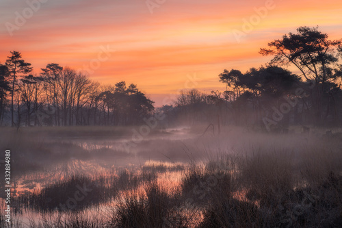 De Moeren is a small nature reserve near the town of Zundert in Brabant. It was a beautiful sunrise with beautiful colors and fog above the water. photo