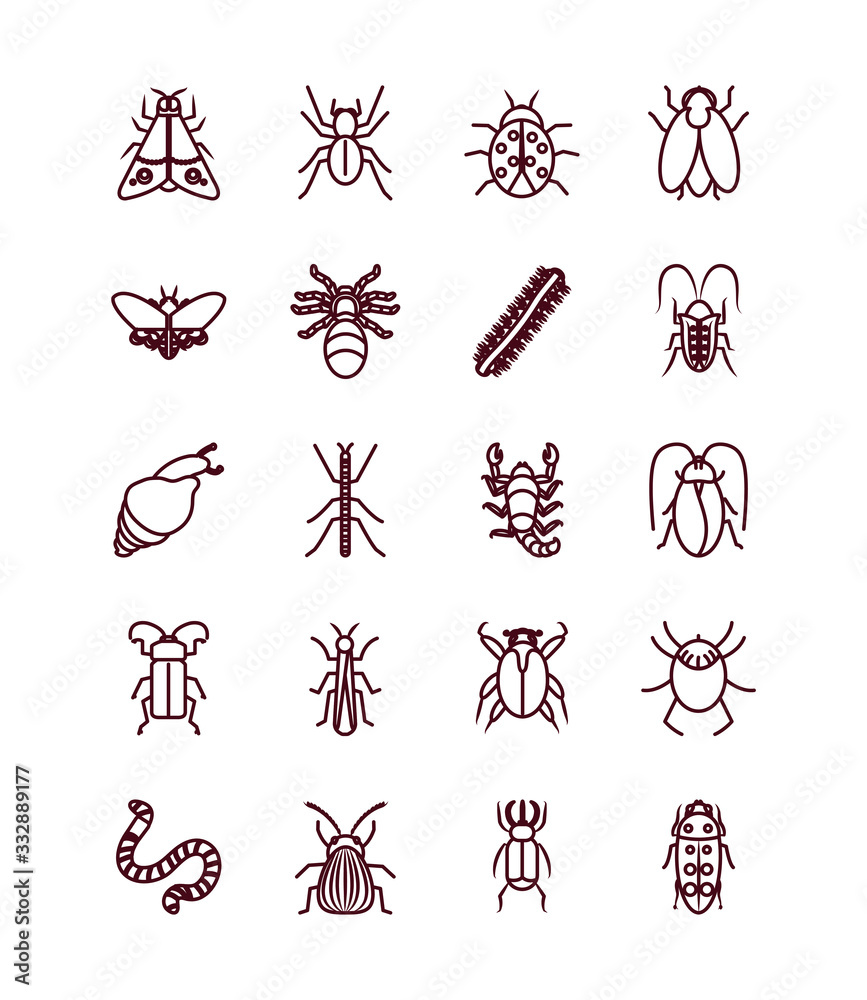 snail and insect concept icon set, line style snail and insect concept icon set, line style