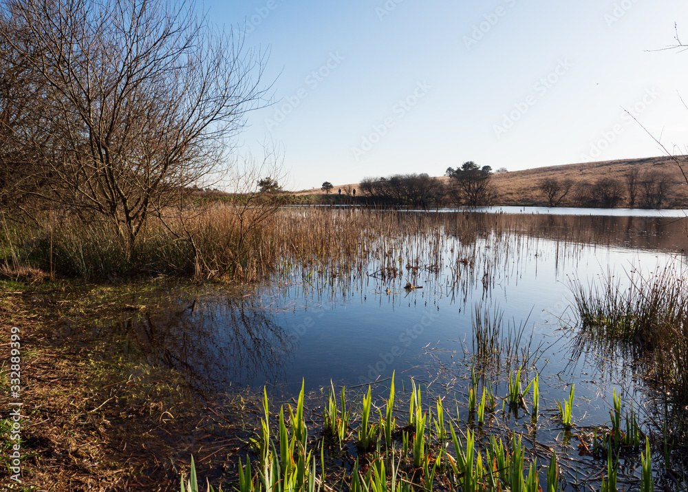 Priddy Pools in late afternoon