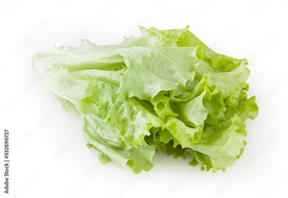 Fresh lettuce isolated on white background with clipping path Fresh lettuce isolated on white background with clipping path