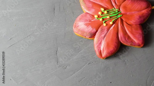 Sweet gingerbread, cookies in the form of flowers and green leaves on a wooden stick on a gray cement background. Sweet pastries, food