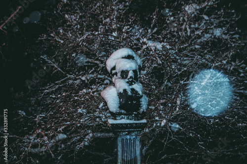  monument to Alexei Alchevsky in the snow photo