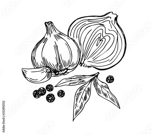 Garlic, onion, bay leaf and black pepper in line art style.