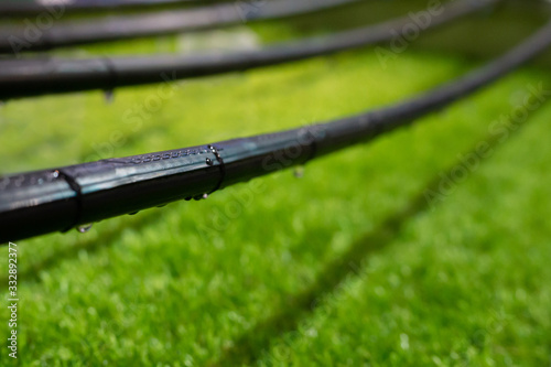 Close up photo with selective focus of drip irrigation system on the green lawn