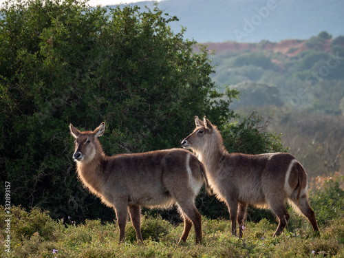 Photography Eastern Cape