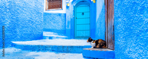 Panorama view with a Cat on the street in blue town Chefchaouen, Morocco. © ggfoto