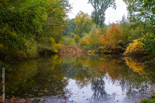 fall colors in the park with reflection in the lake