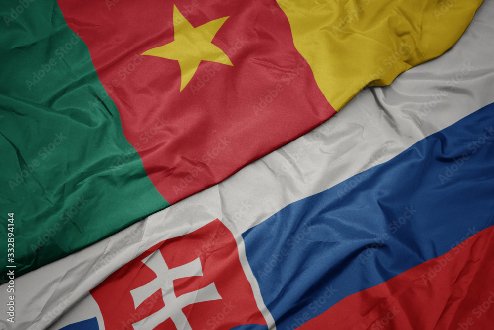 waving colorful flag of slovakia and national flag of cameroon. waving colorful flag of slovakia and national flag of cameroon.