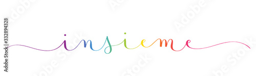Calligrafia vettoriale INSIEME 