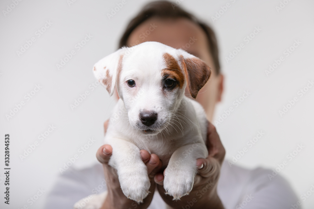 Man holds a puppy in his hands - obrazy, fototapety, plakaty 