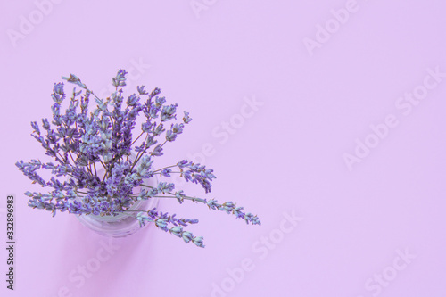 Lavender on a pink background