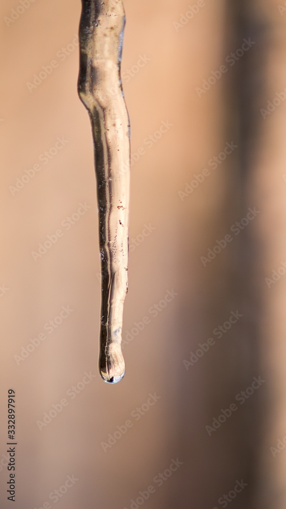 Frozen water icicle on a background of winter spring time.